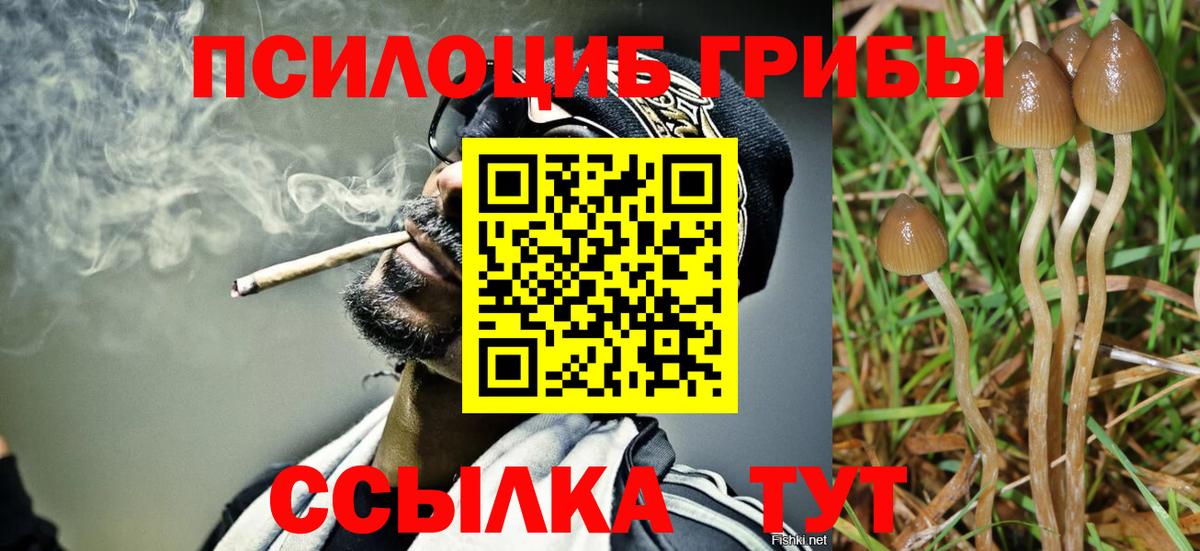 Галлюциногенные грибы мицелий  Вход с VPN  Оренбург 